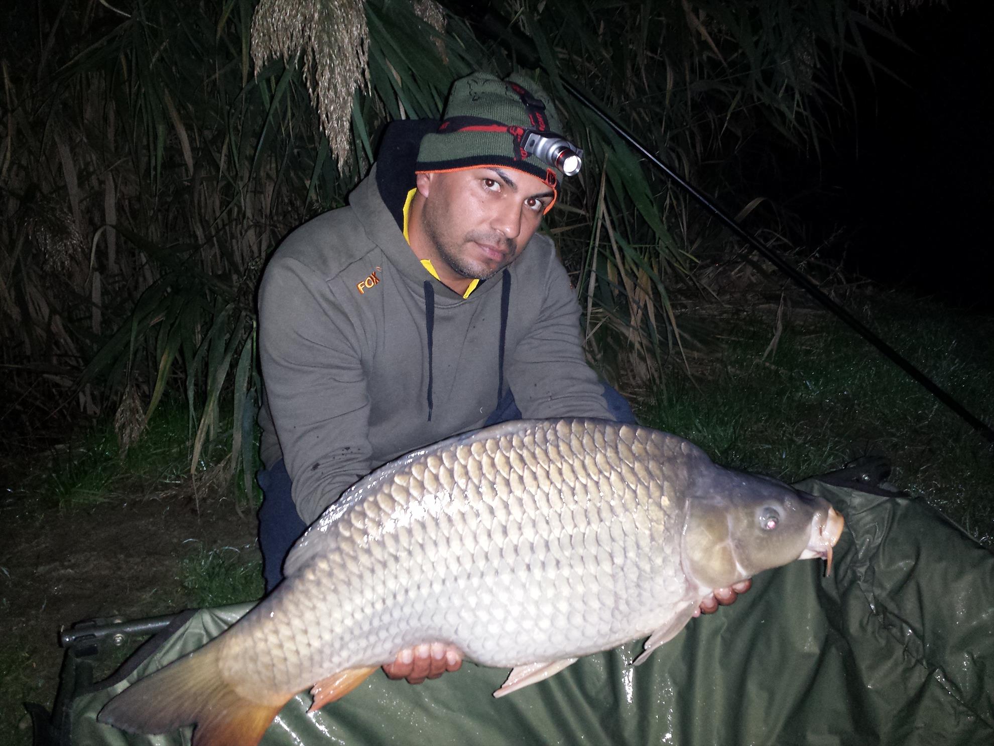 Harsany 2014 - 20141013220125.jpg